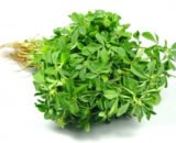 Veg - Methi - Bunch - (1 Each)
